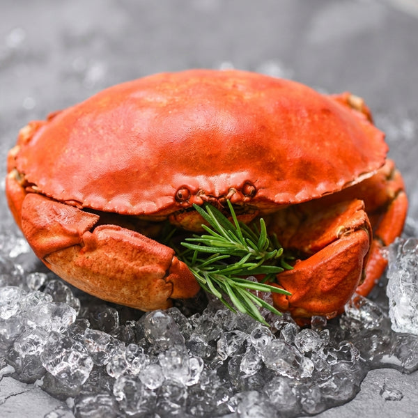 Premium Whole Cooked Crab — Approx. 1.2–2.2 lb Each, 6–8 in Shell Width, Sweet & Meaty, Ready to Steam, Bake or Serve