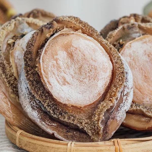 Premium Large Whole Abalone | Extra Thick & Meaty | Rich Ocean Flavor | Perfect for Steaming, Braising, Soups & Hot Pot