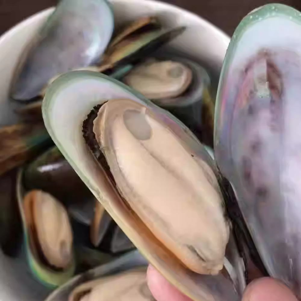 Whole Shell Mussels (Pre-Cooked) | Plump & Sweet Seafood | Frozen Ready-to-Heat | Great for Steaming, Pasta & Soups