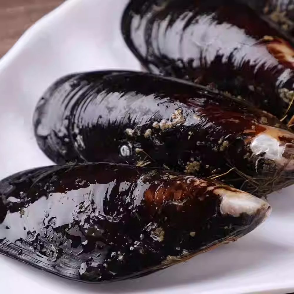 Whole Shell Mussels (Pre-Cooked) | Plump & Sweet Seafood | Frozen Ready-to-Heat | Great for Steaming, Pasta & Soups