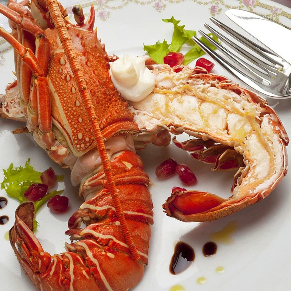 Extra Large Whole Wild-Caught Lobster — Approx. 1.5–2.5 lbs Each, 16–20 in Length, Meaty & Sweet, Perfect for Steaming, Boiling, Grilling & Gourmet Meals