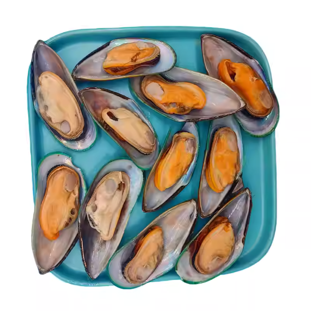 Whole Shell Mussels (Pre-Cooked) | Plump & Sweet Seafood | Frozen Ready-to-Heat | Great for Steaming, Pasta & Soups