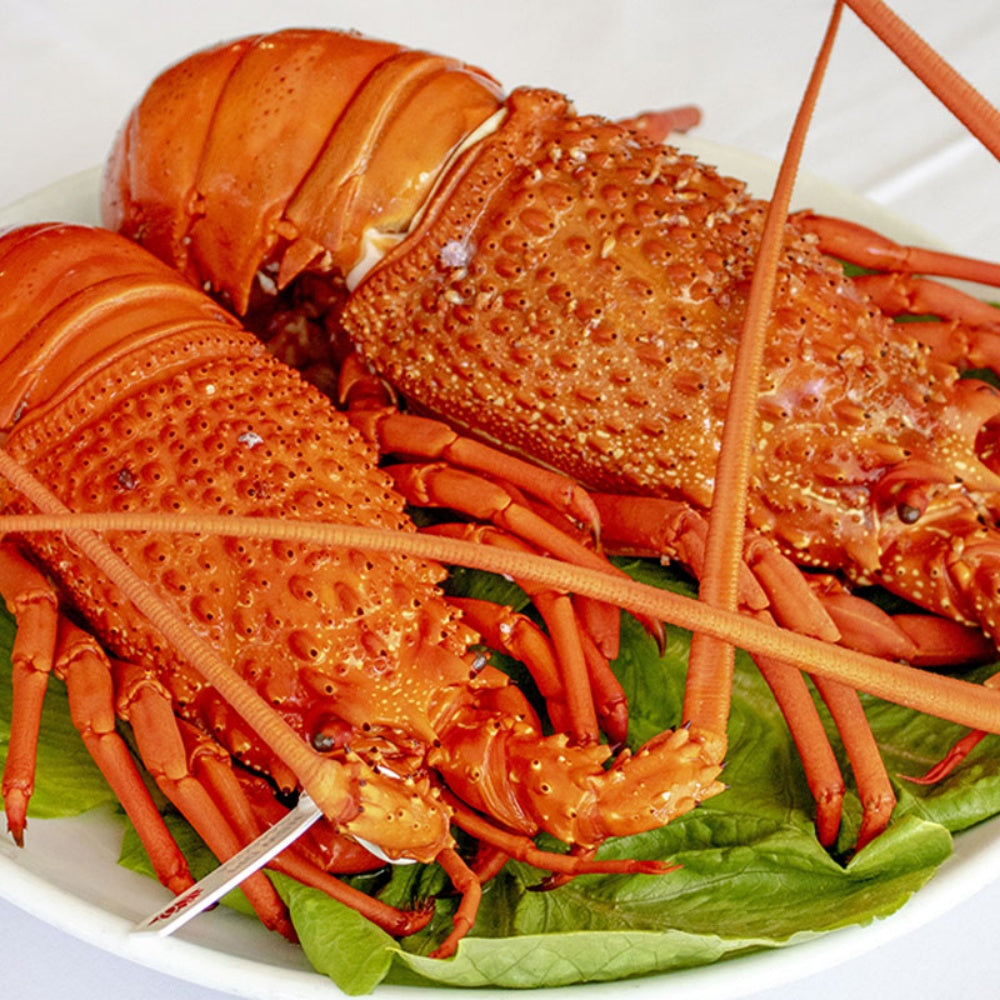 Extra Large Whole Wild-Caught Lobster — Approx. 1.5–2.5 lbs Each, 16–20 in Length, Meaty & Sweet, Perfect for Steaming, Boiling, Grilling & Gourmet Meals